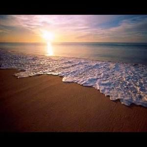 Meet your Posher, Katy